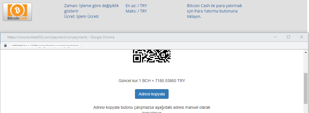 Bitcoin Cash İle Bahis Oyna